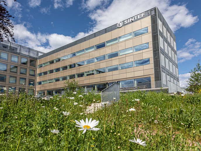 Sinterf's refurbished office